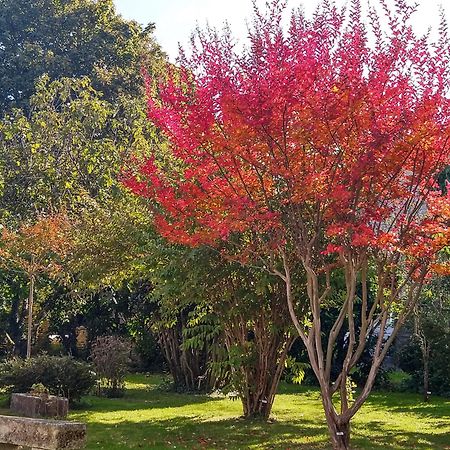 La Demeure D'Ezilda Fléac-sur-Seugne Exterior foto
