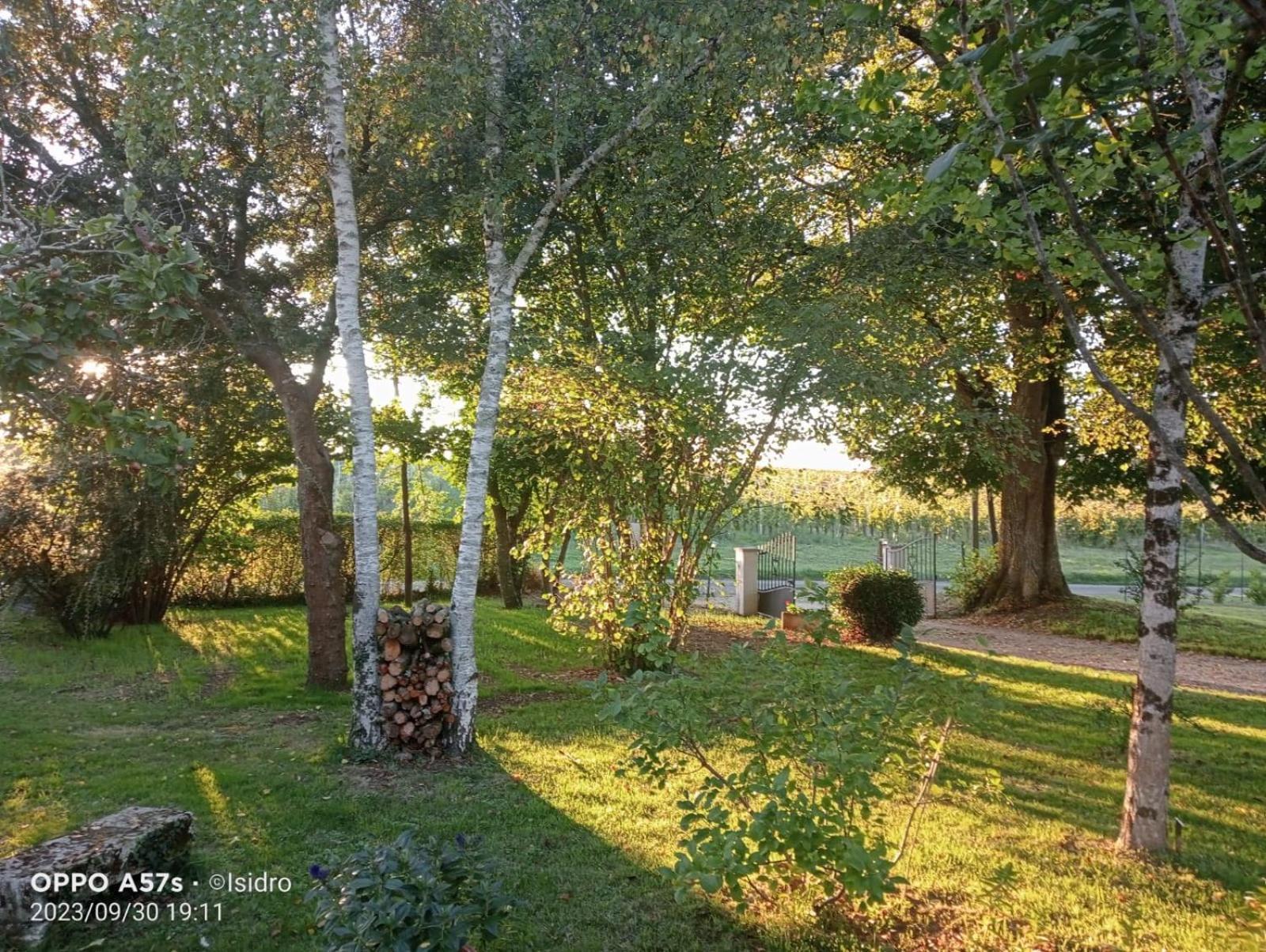 La Demeure D'Ezilda Fléac-sur-Seugne Exterior foto