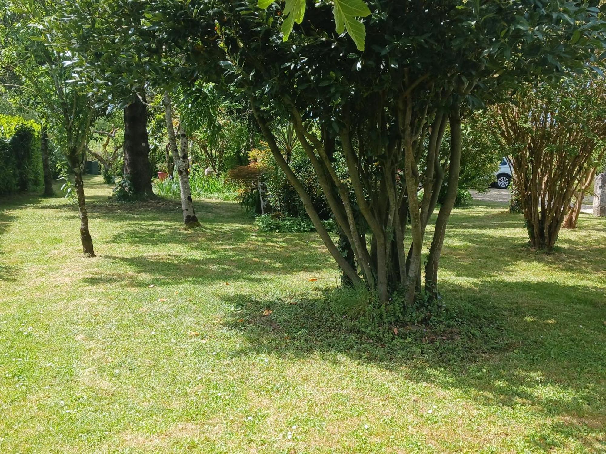 La Demeure D'Ezilda Fléac-sur-Seugne Exterior foto